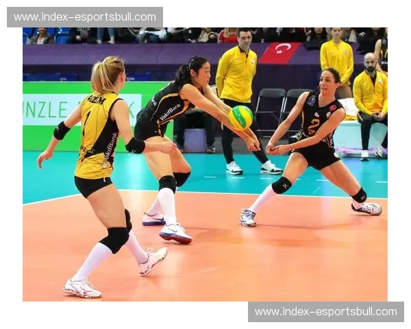 巴黎防守端零封对手表现 帕乔与扎巴尔尼中卫组合默契度