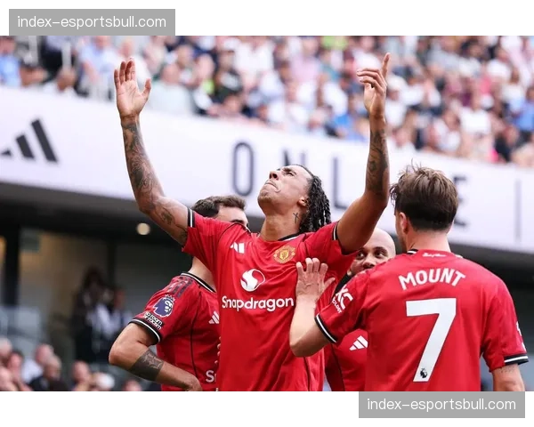 曼联55分坐稳第三位置 卡里克体系下B费谢什科成进攻双核 曼联55分坐稳第三位置 卡里克体系下B费谢什科成进攻双核