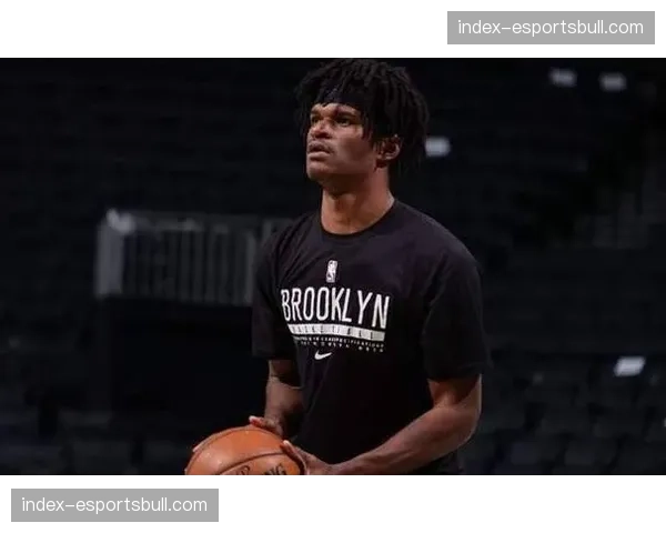 深圳队引进锋线球员阿利兹约翰逊 替换马林马里奇优化侧翼配置 深圳队引进锋线球员阿利兹约翰逊 替换马林马里奇优化侧翼配置